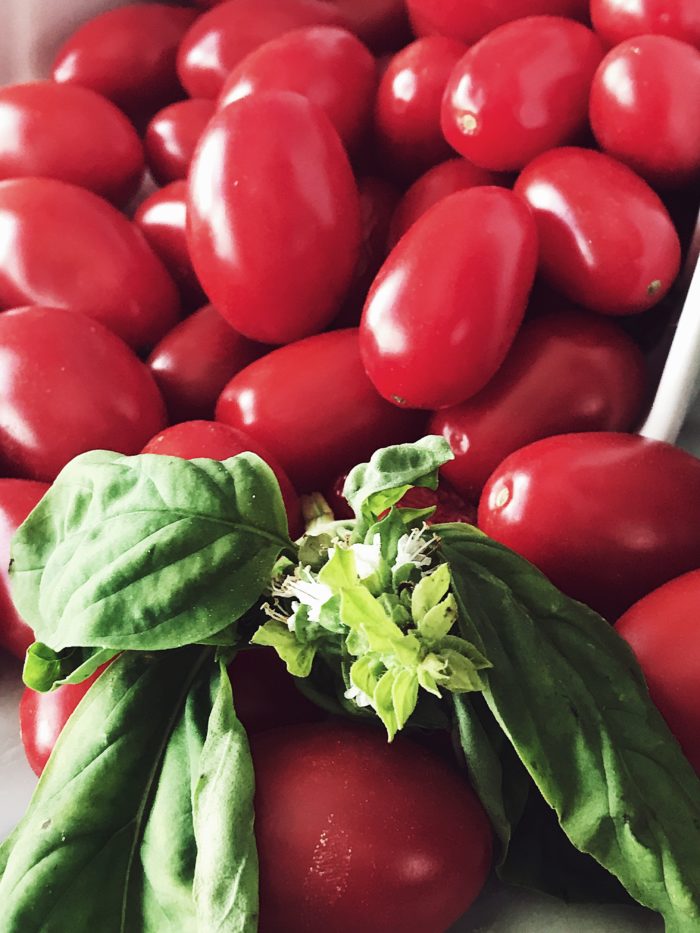 Italian fish pasta recipes: Get this fresh tomato easy tuna pasta recipe and more Italian pasta recipes on Gourmet project, an Italian food blog.